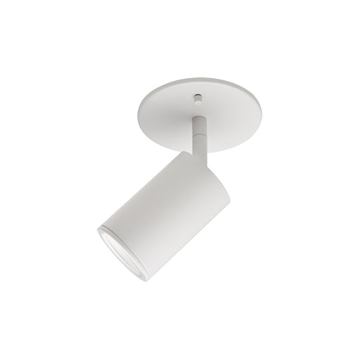 Barclay Ceiling Light