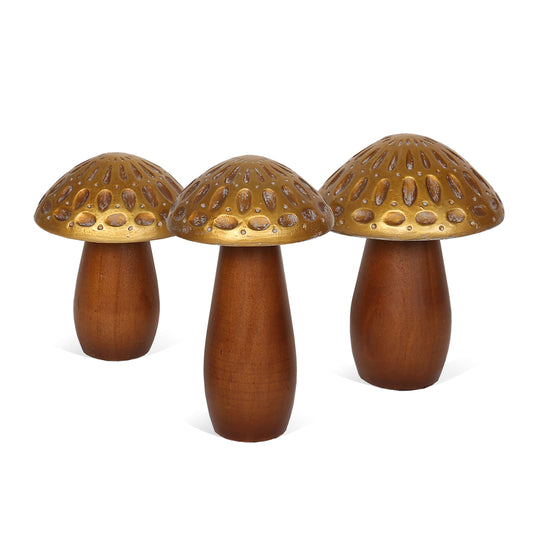 Kinoko Mushrooms S/3